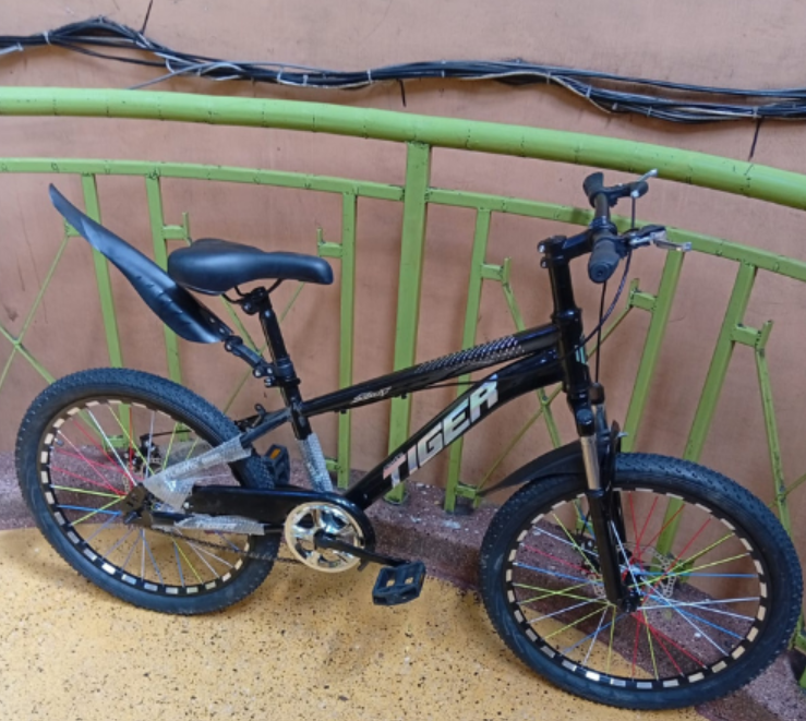 Tiger 22-Inch Single-Speed Teenage Bike