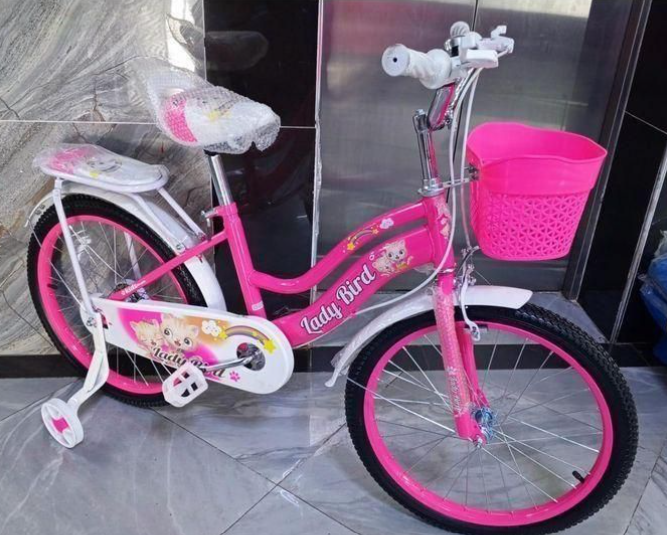 Lady Bird 20-Inch Girls Kids Bike